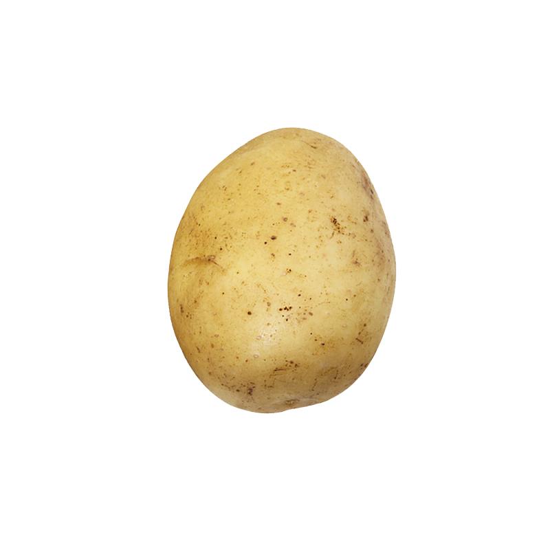 ڸඨɳСɽũҷ59

