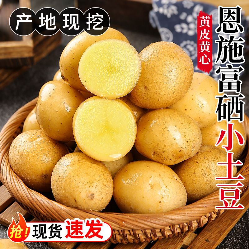 ڶʩСڻʿ10ʵ߲
