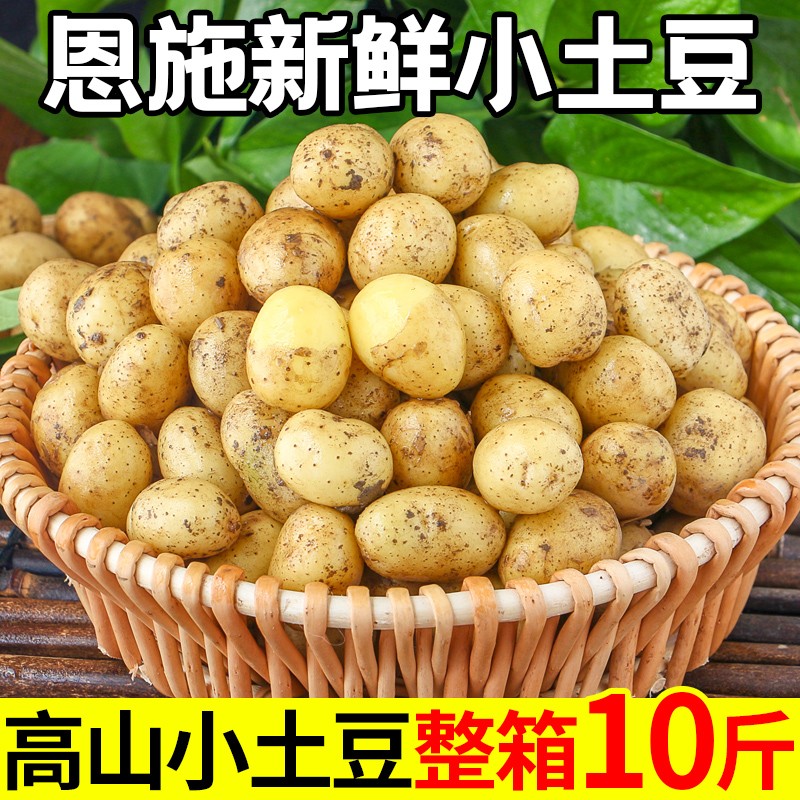 ʩСںʻ10ﵱ߲
