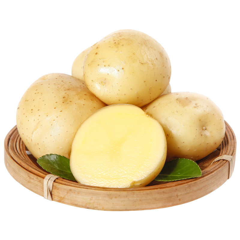 ڶʩСڻʿ10ʵ߲
