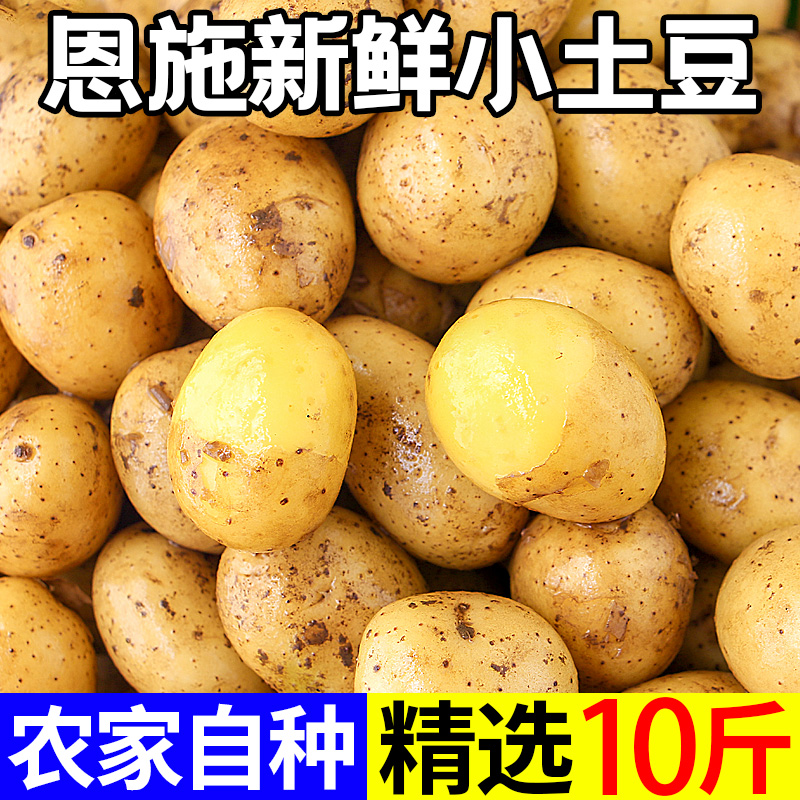 ʩСںʻ10ﵱ߲
