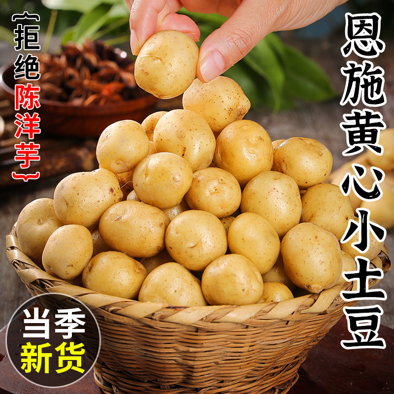 ڶʩСڻʿ10ʵ߲
