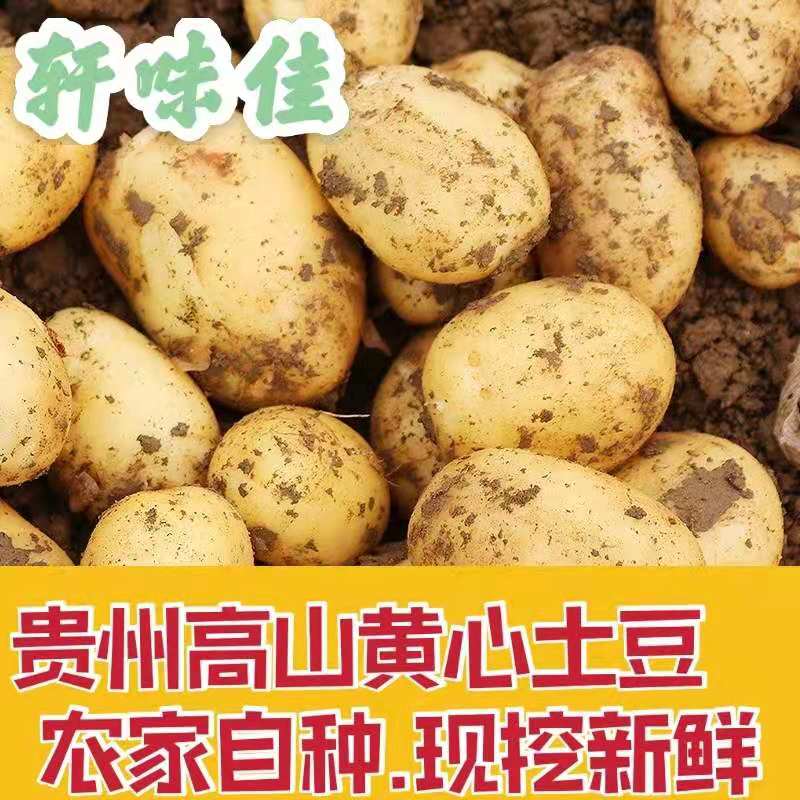СϽɽũ
