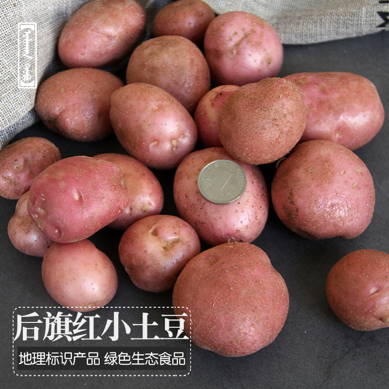 ɳ4 첼ƤСʳտ
