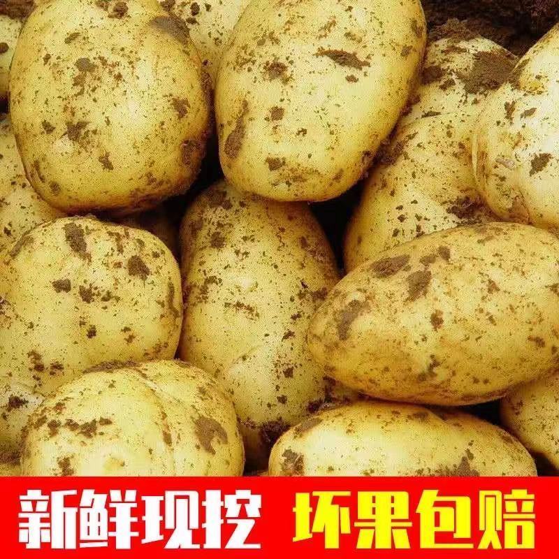 СϽɽũ
