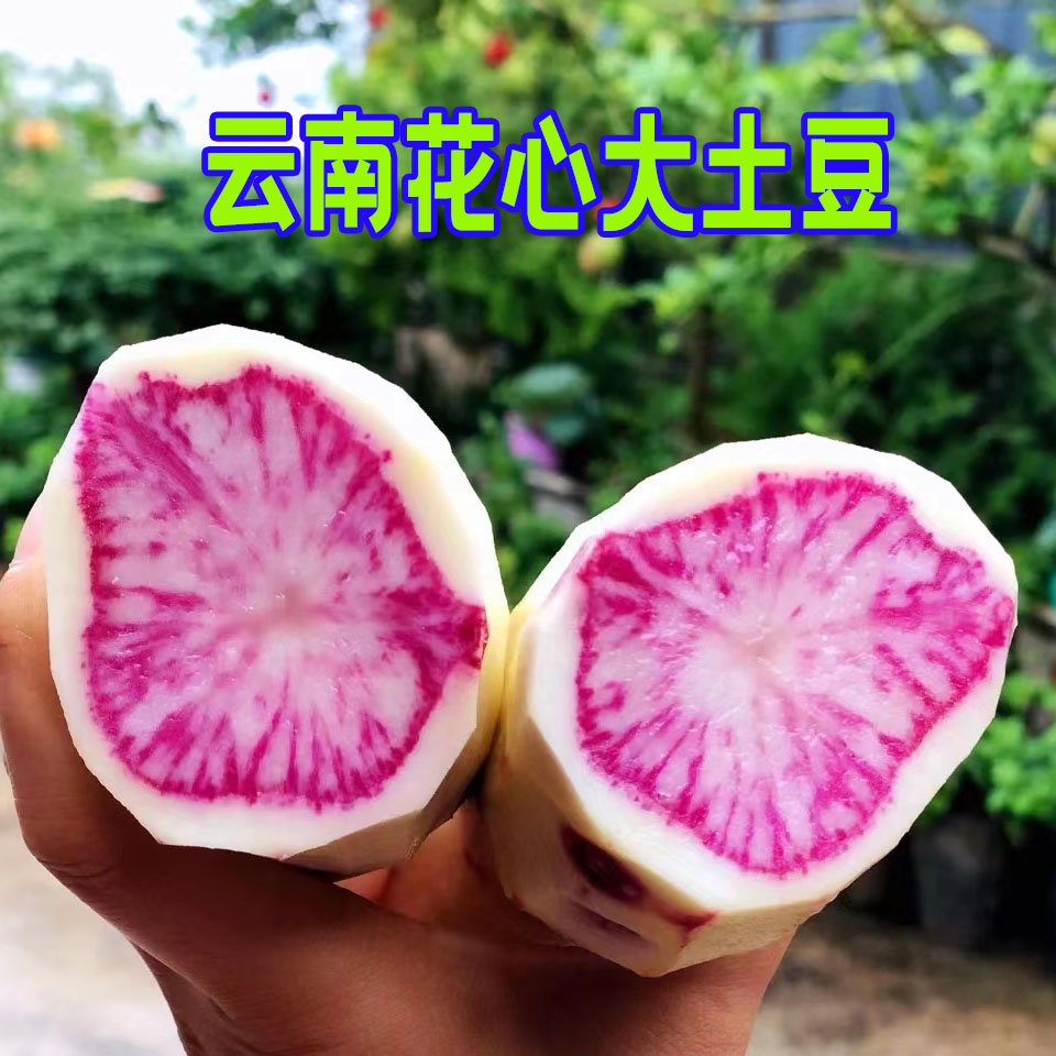 ߲10ʺϴķת
