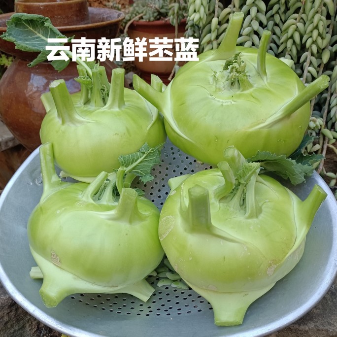 ʡ߲ˮͷ˸˽ͷݲƲժַ
