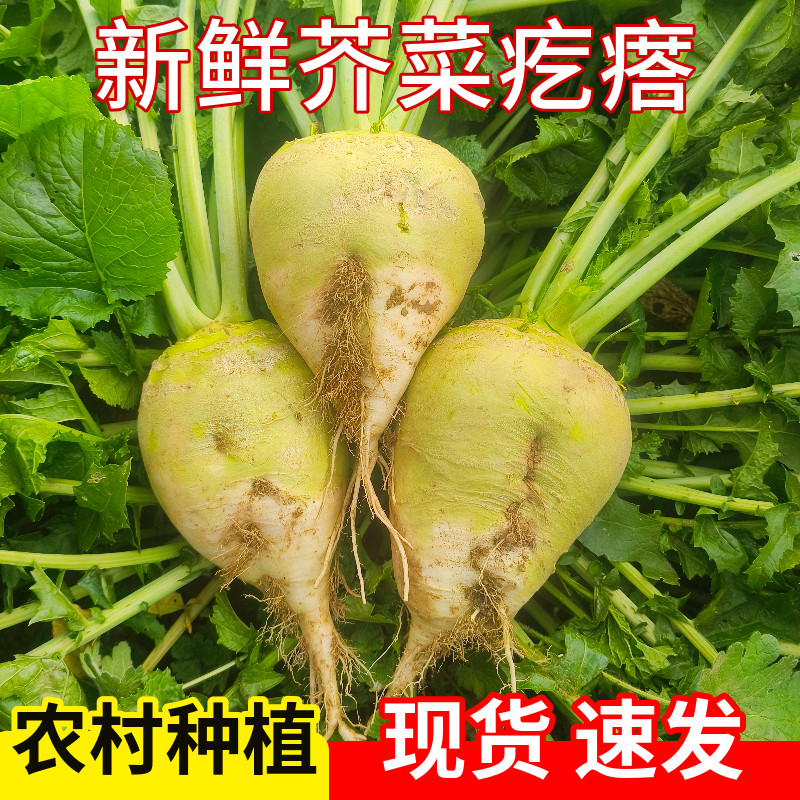 ʽ˸ڴͷ긴̲˽˿ũֲ5װ10
