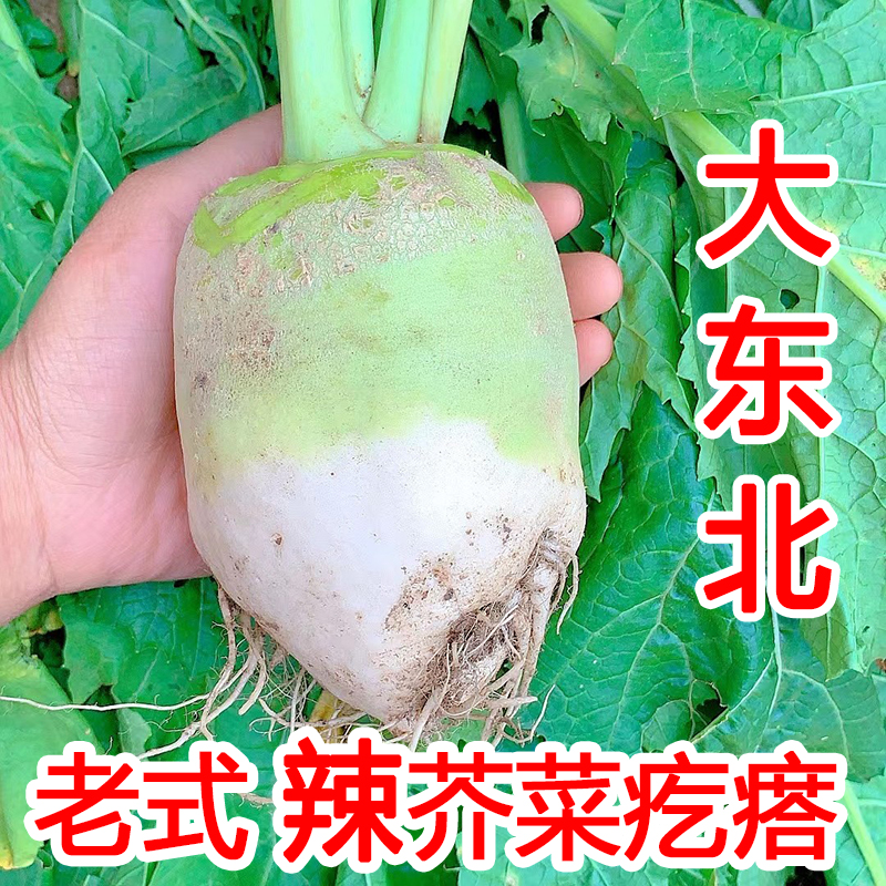 ʽ˸´ﶫ̲·ʽ˿˴ͷ
