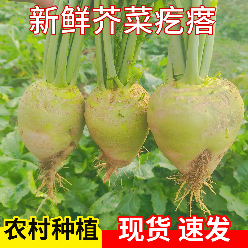 ʽ˸ڴͷ긴̲˽˿ũֲ5װ10
