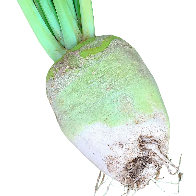 ʽ˸´ﶫ̲·ʽ˿˴ͷ

