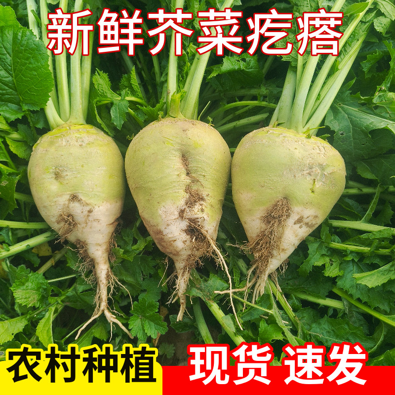 ʽ˸ڴͷ긴̲˽˿ũֲ5װ10
