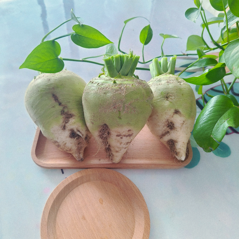 ʽ˸ڴͷ긴̲˽˿ũֲ5װ10
