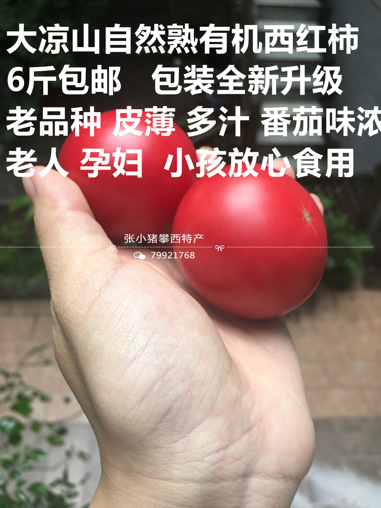 ɽлֲ Ȼ췬 ֲ̬иת
