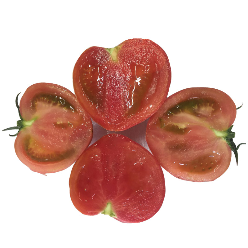 ̽ӵݮӥצƤˮи˳5
