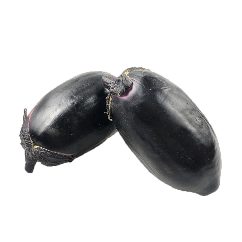˳ժƷԲӵտʱ߲
