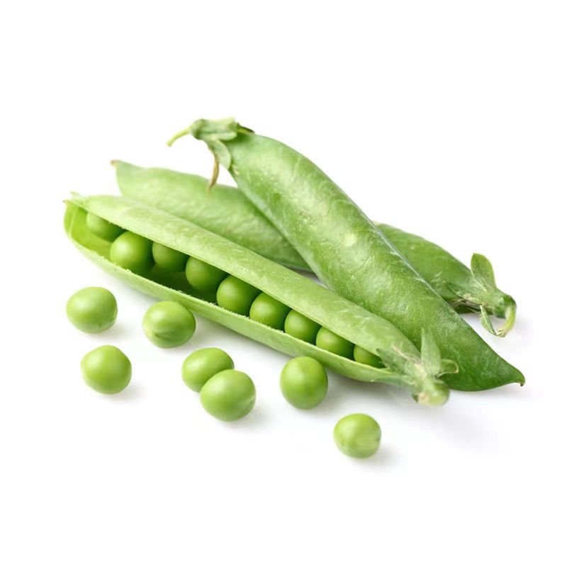 ʴ㶹ඹũԴ㶹(ժַ)
