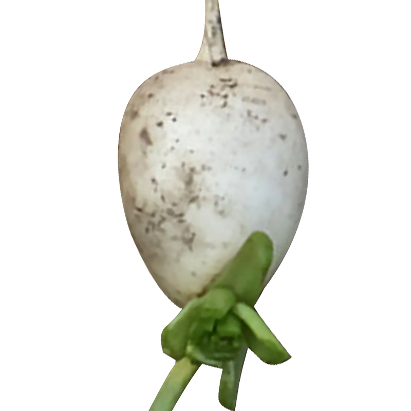 ũұƷִСԲ߲ܲ˴޲ݲ10
