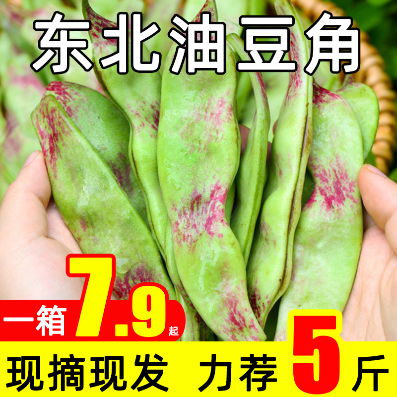 ժͶǾһ5߲˱ⶹඹ
