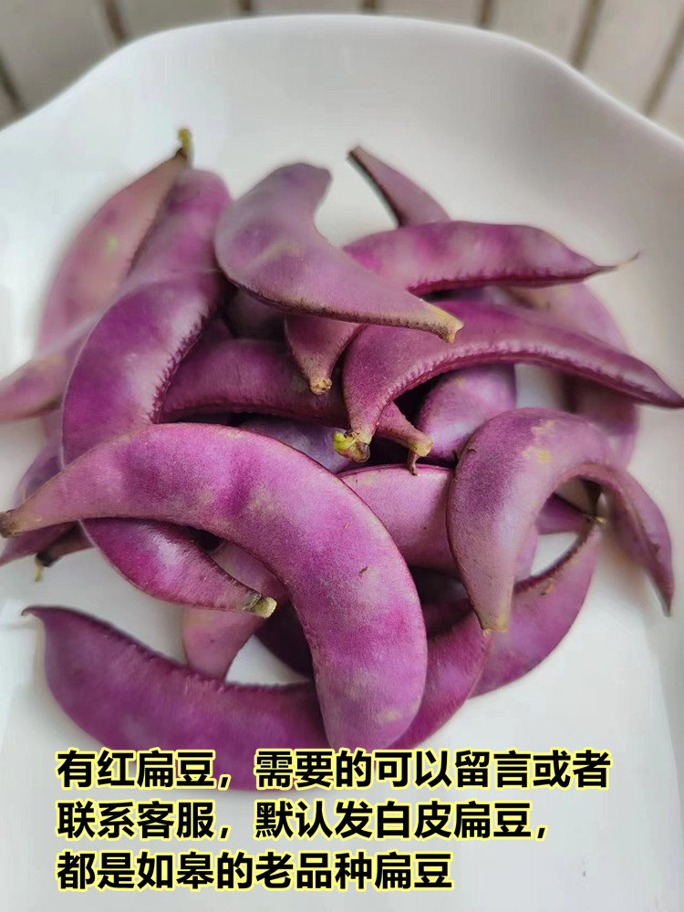 ͨءױⶹʴǺⶹⶹⶹ ز
