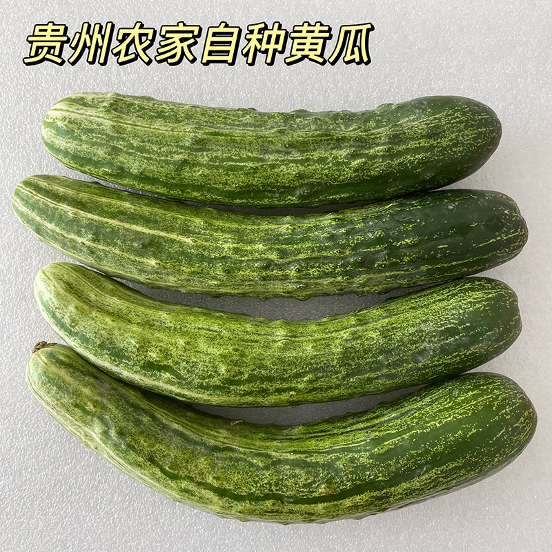 ƽũ߲ۻƹƤС˹5 
