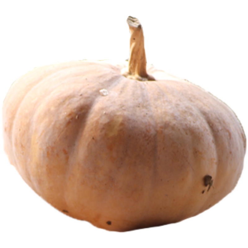 ɽƷĥϹϹϻƤŴȻĥ̹
