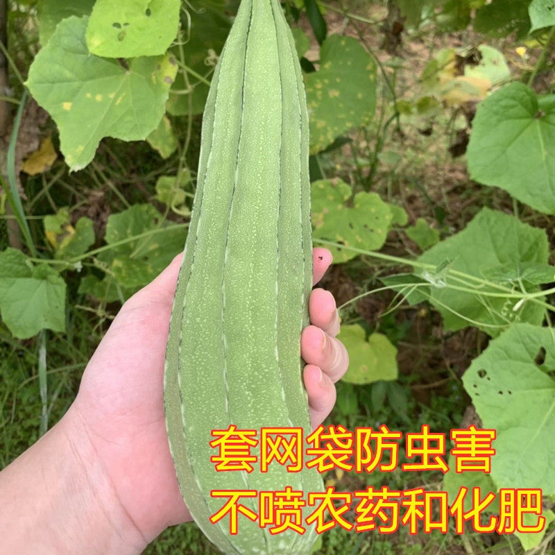 ũ˿ϰ˽ǹˮ峴˳ʱˮ1

