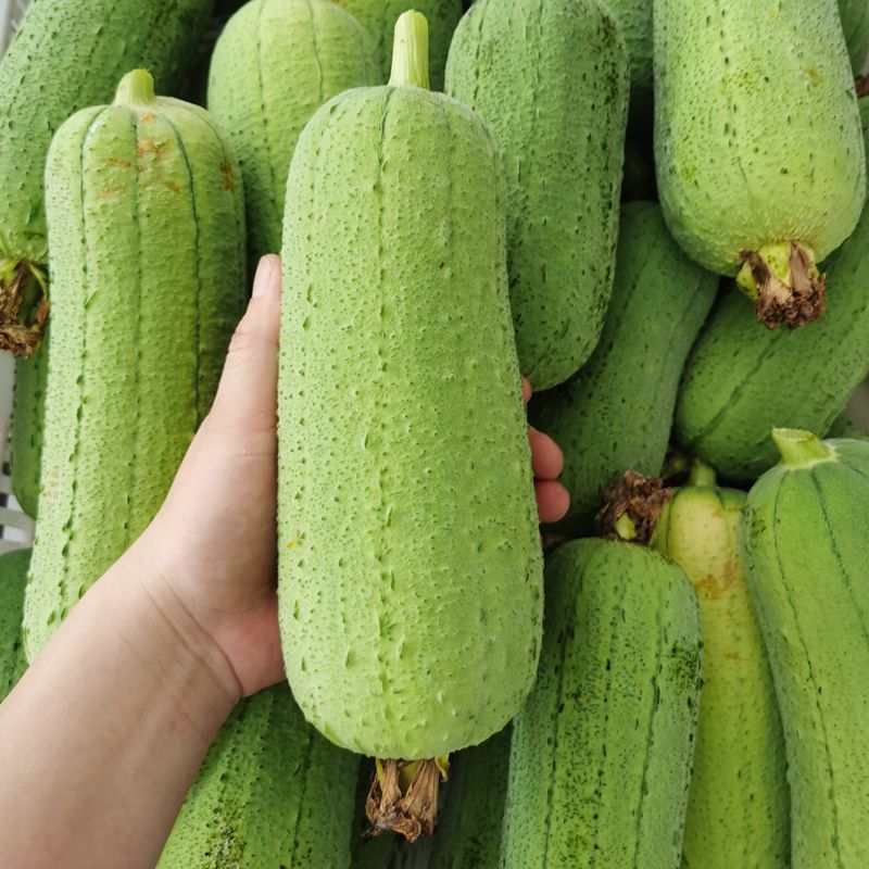 ̰˿ ̨˿˿ˮ ߲1-5
