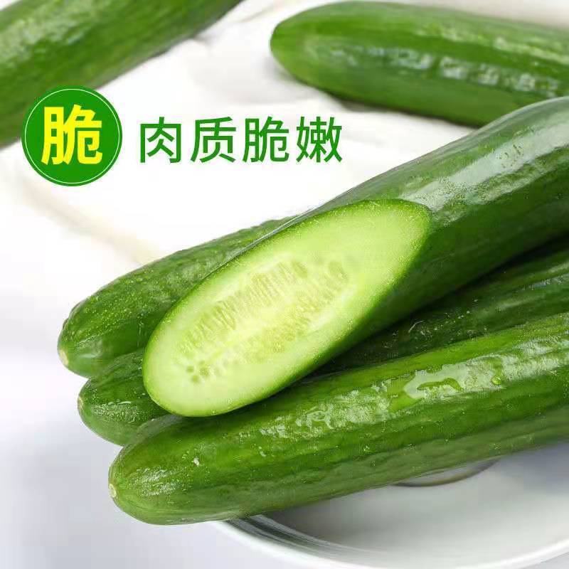 ɽٹˮƹ5Сʱ߲
