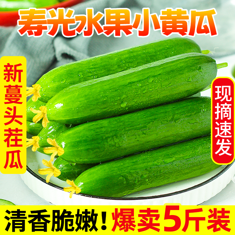 ٹ߲ˮƹԴ5Ϻ޴Сƹժ
