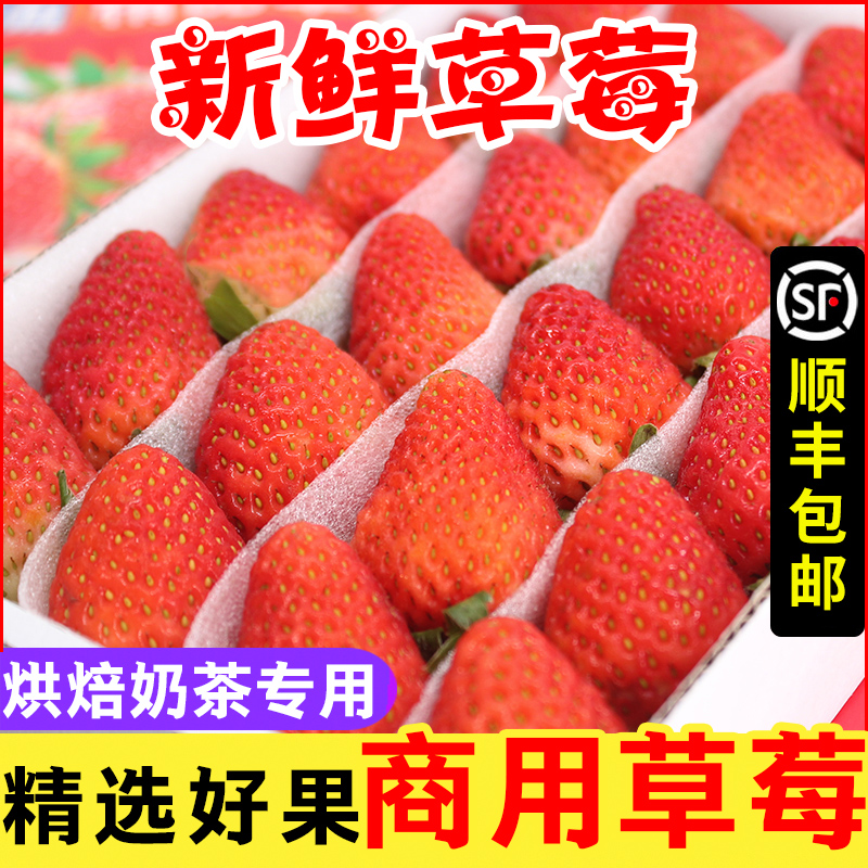 ˫ļݮˮ̲決ƷǺ«ר˳
