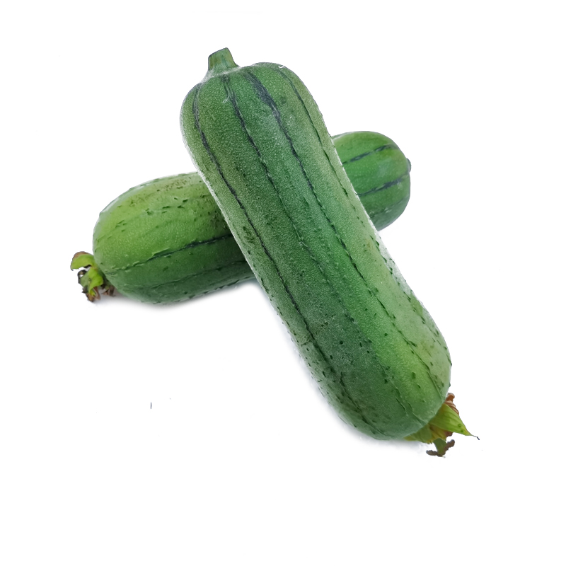 ̰˿ ̨˿˿ˮ ߲1-5
