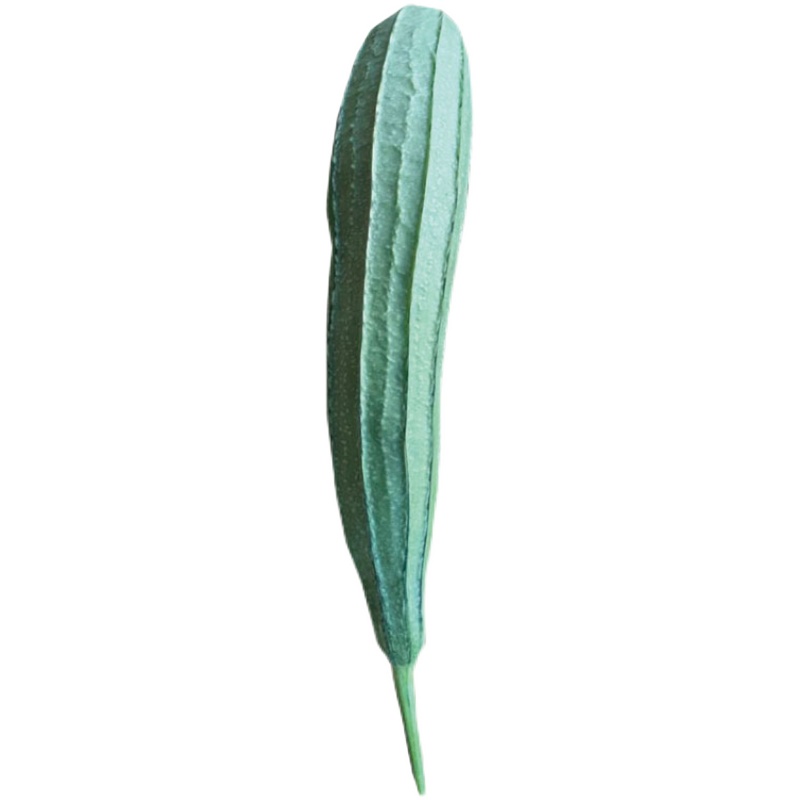 ũ˿ϰ˽ǹˮ峴˳ʱˮ1
