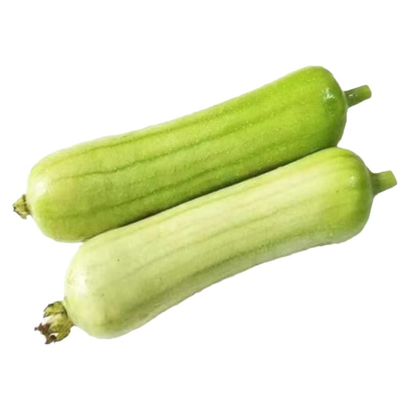 ϰ˿ţ˿˿ϰˮ߲ժֱ

