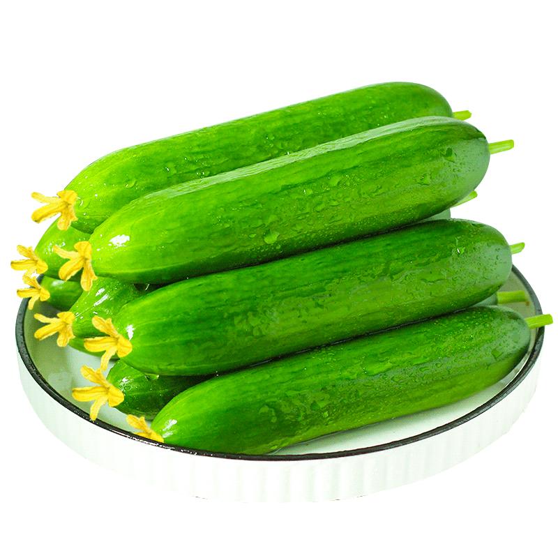 ٹ߲ˮƹԴ5Ϻ޴Сƹժ
