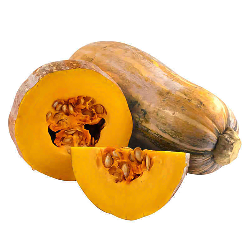 ɽϹϷϹũ߲˱ʳƷŴ
