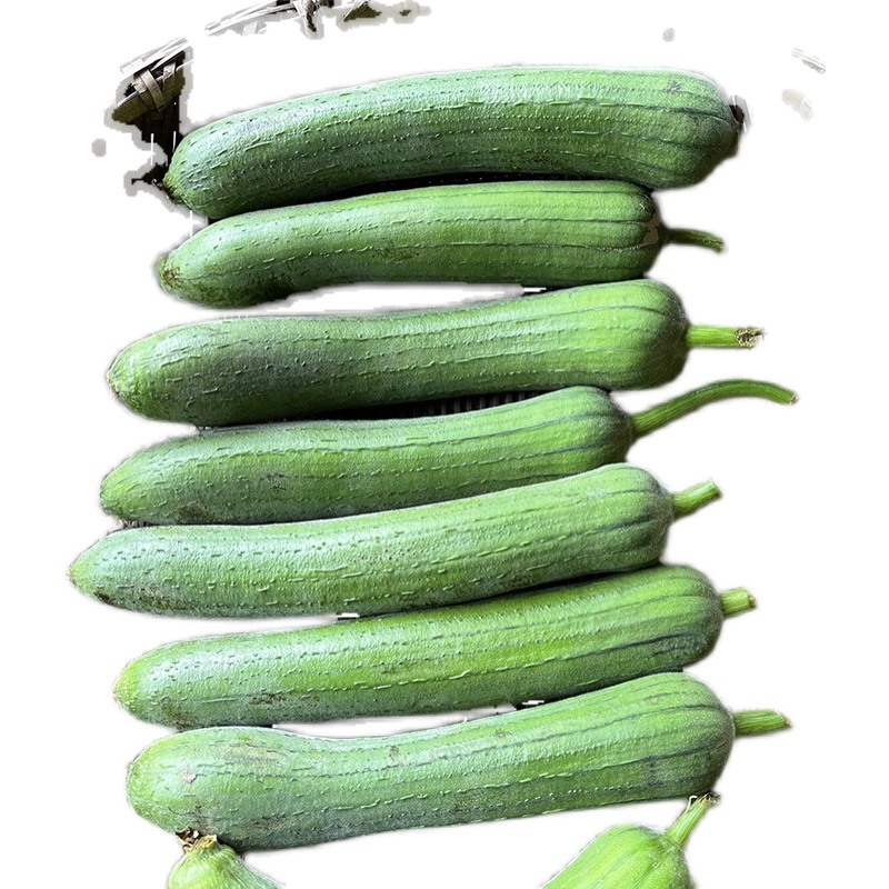 ˿߲˱˿˿Ȼժַ˿ϰ
