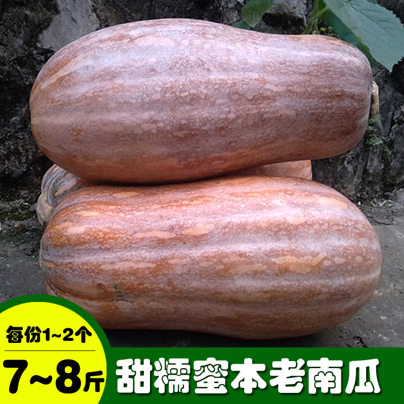ϹũŴ𱦱ʳƷֻƤϹ
