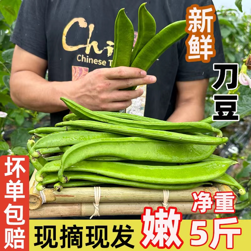 ʵ5ũʱ߲˵罷ԭϵѶ˳
