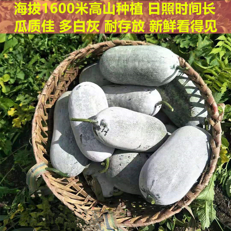 Сϱ˫㶬ϸɽ̬Ŵ߲8

