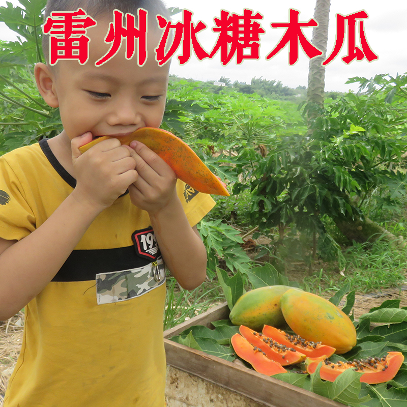 ݱǺţľ෬ժտˮ5Ϻ
