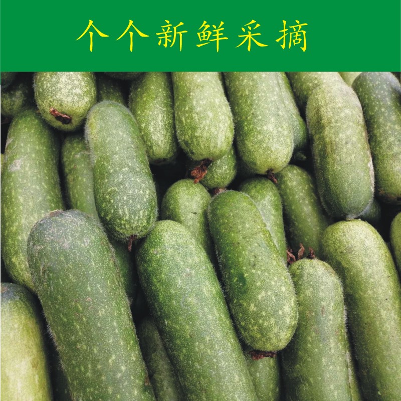 С Сڹ ũСë ߲
