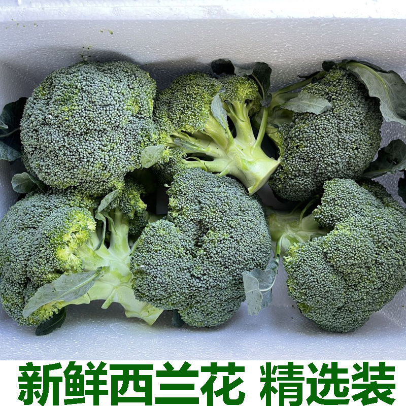 ũժ˻໨̻˻Ҭ˻˰
