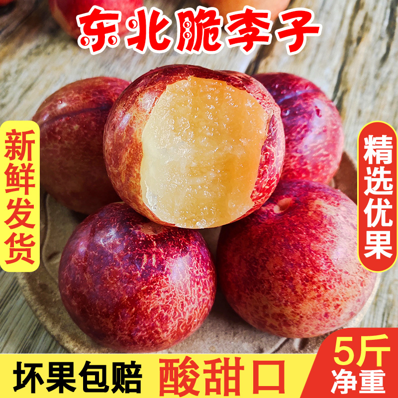 ڶӰŵ5иˮӷǴ
