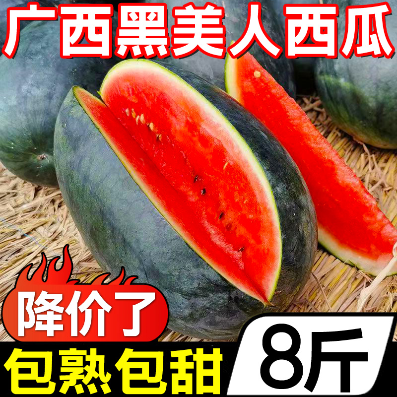 Ǻ8ˮϺƤ8424
