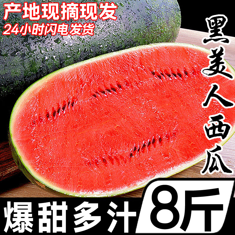 Ǻ8ˮϺƤ8424
