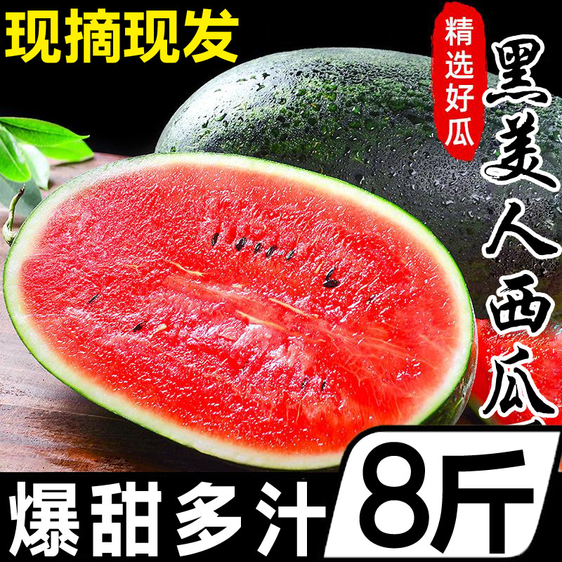 Ǻ8ˮϺƤ8424
