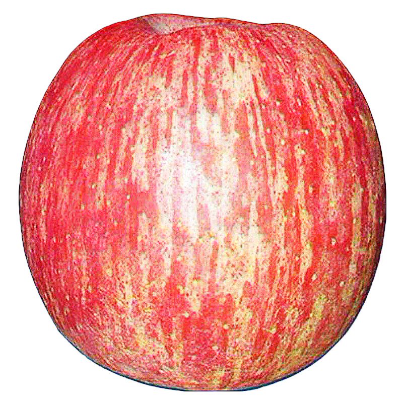 崨ƻˮʵ츻ʿһ10
