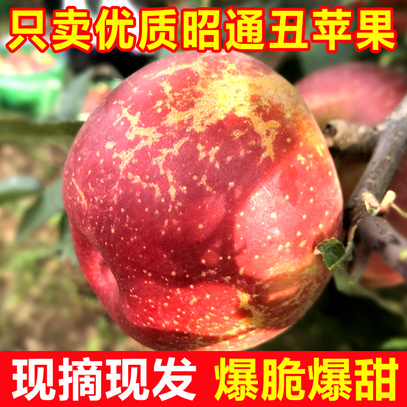 ͨƻƻˮʴ10츻ʿ
