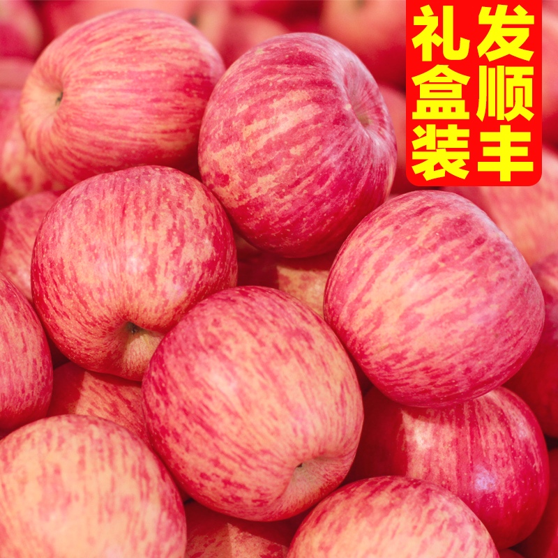 崨ƻˮ䵱츻ʿĴ10
